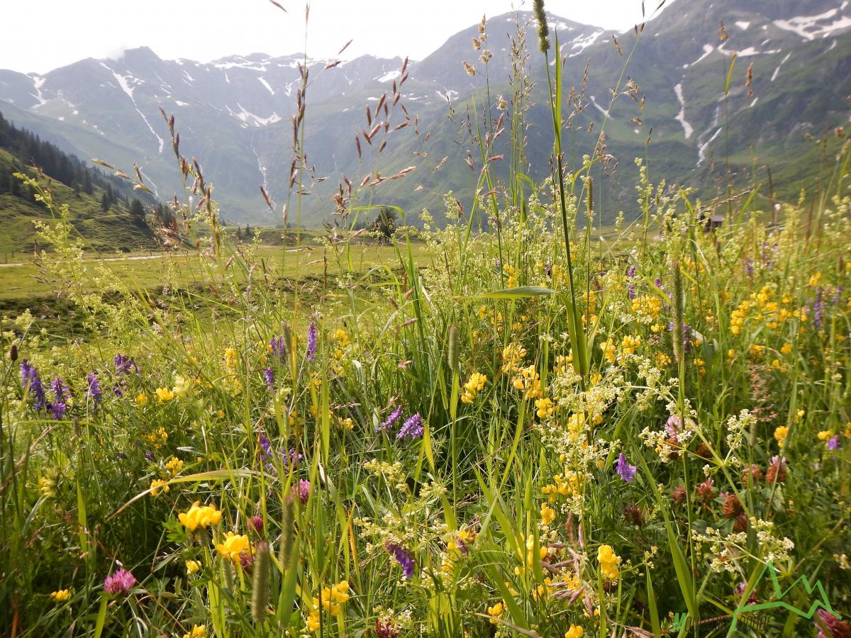 Gasteinské údolí, pohádková noc na hřebeni Riffelscharte, 24.-25.7.2021