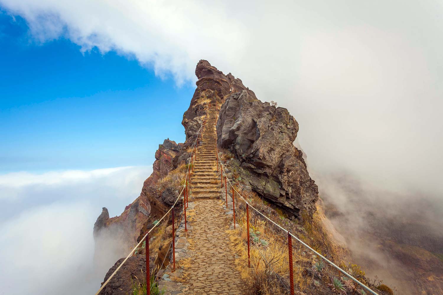 Madeira – „ostrov věčného jara“, levád a květin